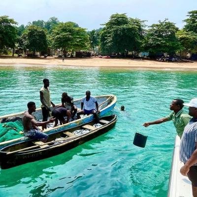 Atividades na Ilha